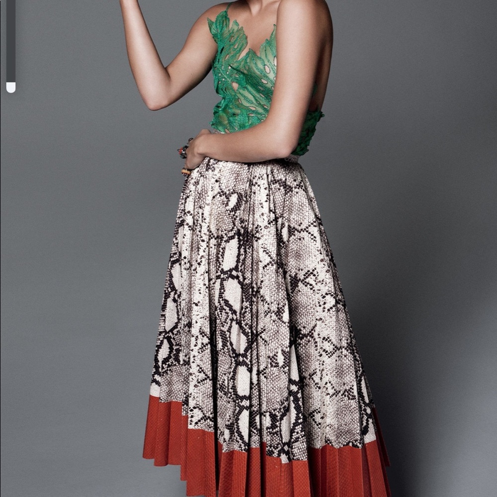 Gucci Printed Python Leather Skirt - image 1